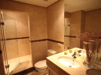 Nueva Andalucia property: Malaga Penthouse 271803