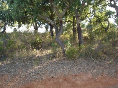 Elviria property: Land with bedroom in Elviria 271833