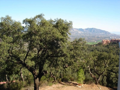 Elviria property: Land for sale in Elviria, Malaga 271833