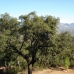 Elviria property: Land in Malaga 271833