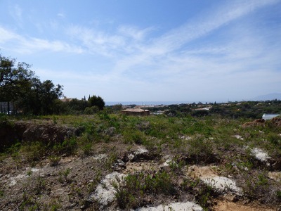 Elviria property: Villa in Malaga for sale 271834