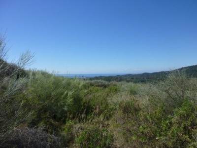 Benahavis property: Benahavis, Spain | Land for sale 271847