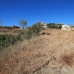 Elviria property: Elviria, Spain Land 271861