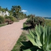 Playa De Cancelada property: Malaga Apartment, Spain 271898