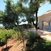 Elviria property: Elviria Villa, Spain 271903
