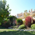 Nueva Andalucia property: Penthouse for sale in Nueva Andalucia 271915
