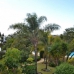 Bahia De Marbella property: Beautiful Townhome for sale in Bahia De Marbella 271916