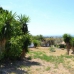 Marbella property: Malaga, Spain Land 271931