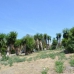 Marbella property: bedroom Land in Marbella, Spain 271931