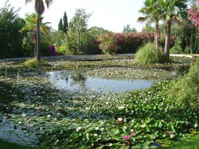 Manchones Nagueles property: Malaga Villa 272698