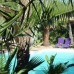 Manchones Nagueles property: Villa for sale in Manchones Nagueles 272698