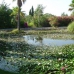 Manchones Nagueles property: Beautiful Villa for sale in Manchones Nagueles 272698