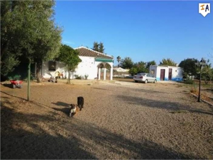 Villa with 5 bedroom in town, Spain 272962