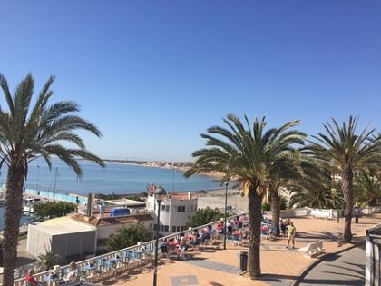 Torre De La Horadada property: Villa for sale in Torre De La Horadada 273643