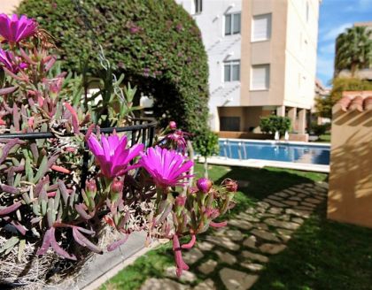 Denia property: Alicante Apartment 273659