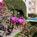Denia property: Beautiful Apartment for sale in Denia 273659