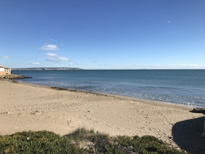 La Marina property: La Marina Apartment 274094