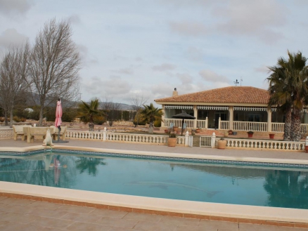 Pinoso property: Villa for sale in Pinoso, Spain 274280