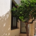 Mijas Costa property: Malaga Villa, Spain 274452