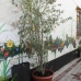 Marbella property: Marbella, Spain Townhome 274506