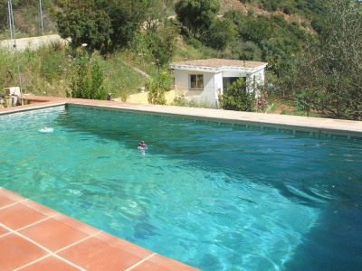 Finca with 3 bedroom in town 275201