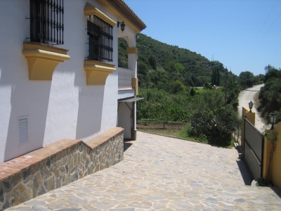 town Finca 275201