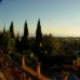 El Rosario property: Beautiful Villa for sale in Malaga 275208