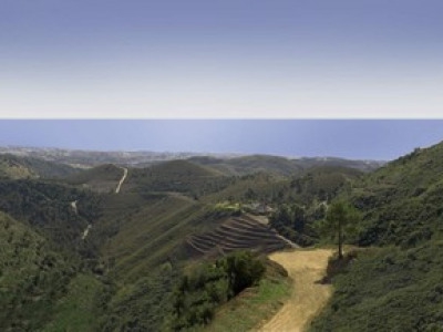 Benahavis property: Villa in Malaga for sale 275217