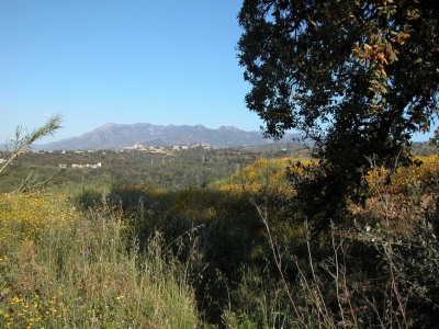 Las Cumbres property: Land for sale in Las Cumbres, Spain 275220