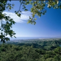 Marbella property: Land for sale in Marbella 275221