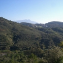 Estepona property: Land for sale in Estepona 275231