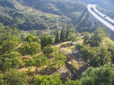 Estepona property: Land for sale in Estepona, Spain 275231