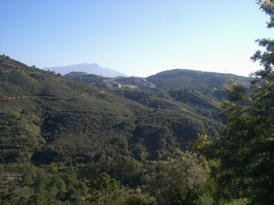 Estepona property: Land with bedroom in Estepona, Spain 275231