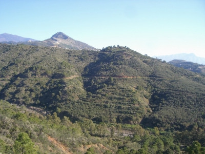 Estepona property: Land for sale in Estepona, Malaga 275231