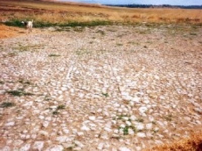 Ronda property: Land with bedroom in Ronda, Spain 275232