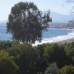 Marbella property: Villa in Malaga 275237