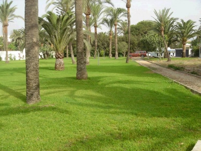 Land for sale in town, Spain 275238
