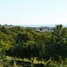 Nueva Andalucia property:  Penthouse in Malaga 275276