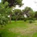Marbella property:  Land in Malaga 275285