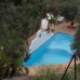 Istan property: Villa in Malaga 275297