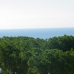 Marbella property: Malaga, Spain Apartment 275308