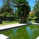 Nueva Andalucia property: Land for sale in Nueva Andalucia 275325