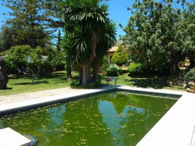 Nueva Andalucia property: Land for sale in Nueva Andalucia 275325