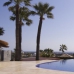 Nueva Andalucia property:  Villa in Malaga 275330