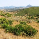 Casares property: Land for sale in Casares 275377
