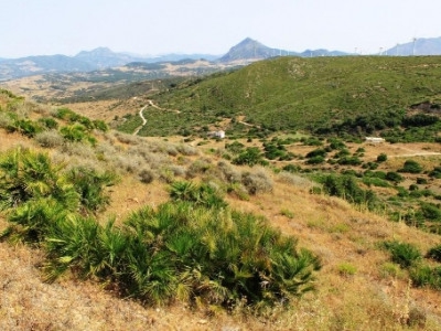 Casares property: Land with bedroom in Casares 275377