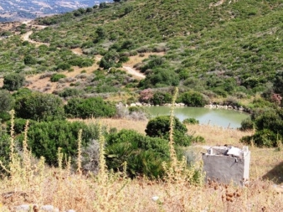 Casares property: Land for sale in Casares, Malaga 275377
