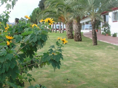 La Cala De Mijas property: Land with 3 bedroom in La Cala De Mijas, Spain 275440
