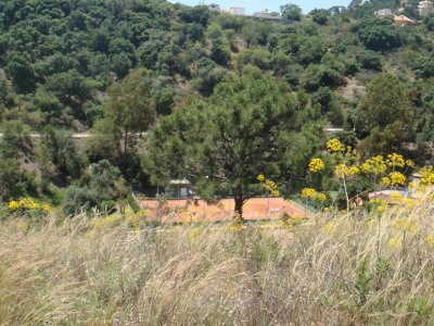 Estepona property: Malaga Land 275447