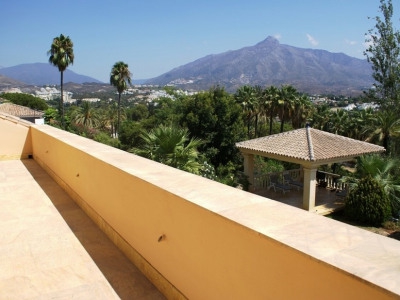 Nueva Andalucia property: Villa in Malaga for sale 275487